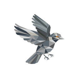 Sparrow